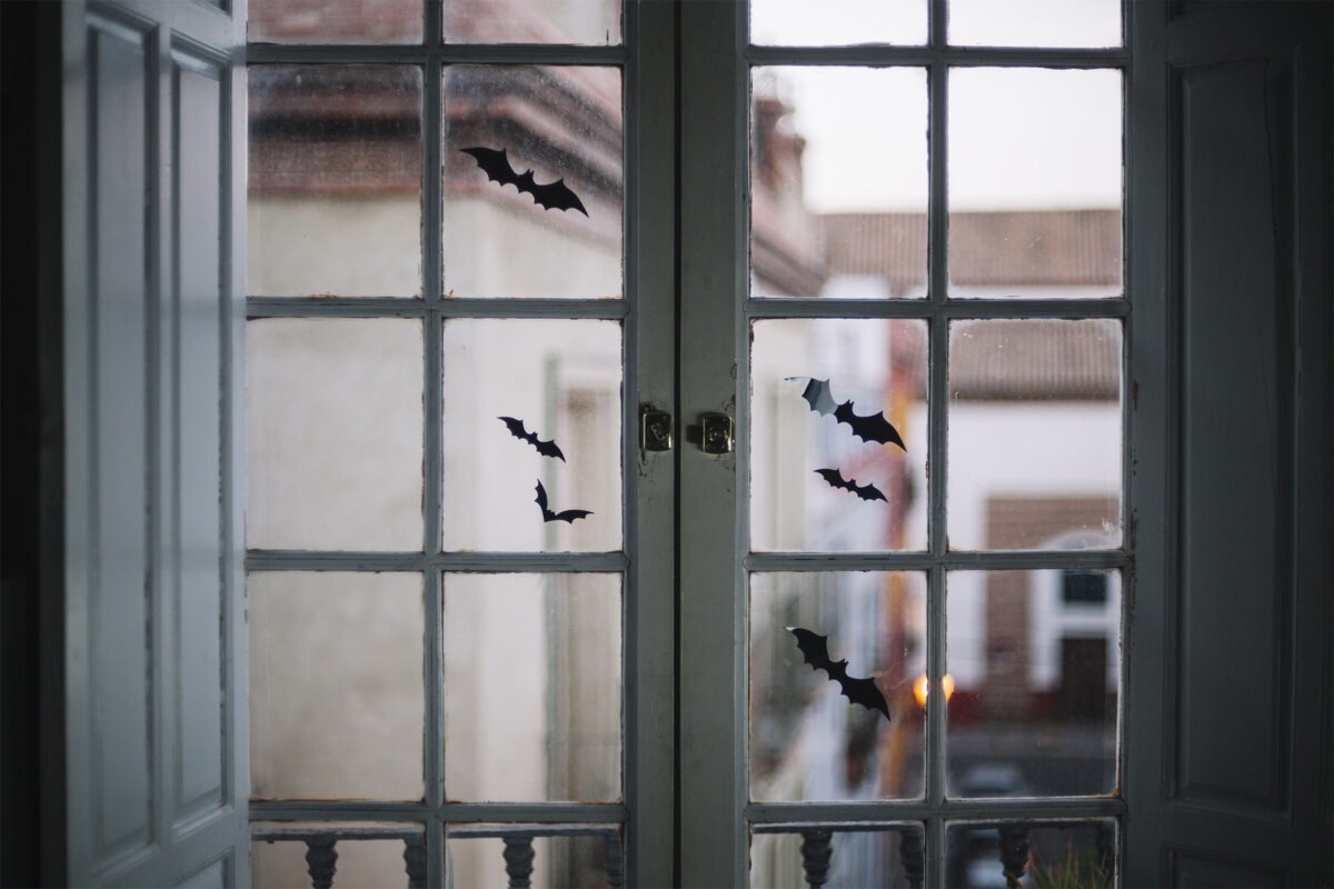 Réparation de fenêtres sur 44000 Nantes: comment choisir ?